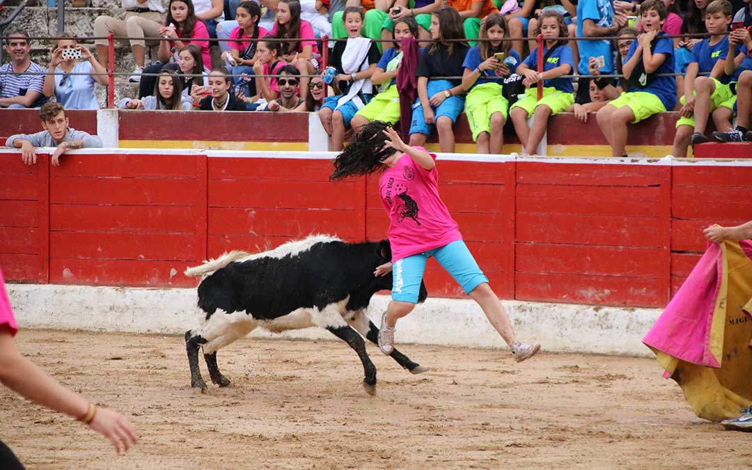futbol-vaca-alcaniz-cogida