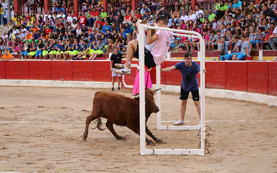 futbol-vaca-alcaniz-porteria