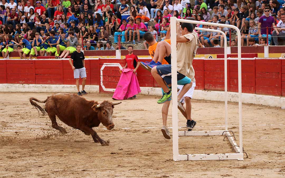 futbol-vaca-porteria