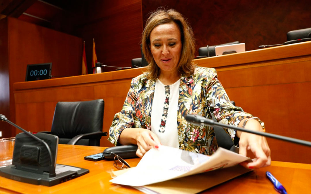 Mayte Pérez, consejera de Presidencia del Gobierno de Aragón | DGA
