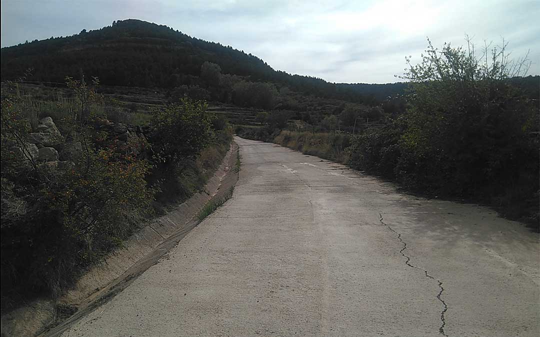 Una de las pistas de acceso al coto micológico del Maestrazgo./ Cristina Mallén.