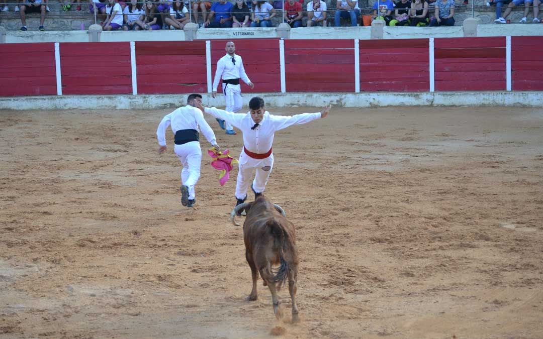 Uno de los muchos saltos que sobre la vaquilla han realizado los componentes de Casta Aragonesa en Calanda