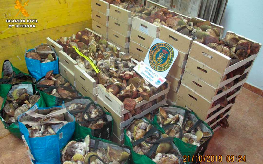 Mercancía hallada en el interior de la furgoneta./ Guardia Civil