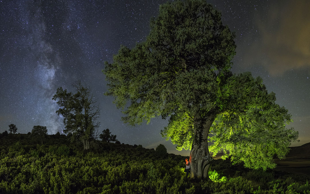 Fotografía ganadora de Tomás Plaza Serrano