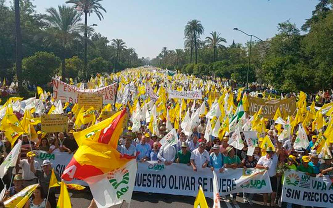manifestacion uaga upa coag asaja olivar tradicional