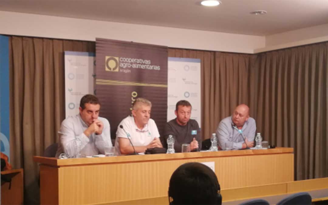 Representantes de las organizaciones agrarias aragonesas este martes./ UPA Aragón