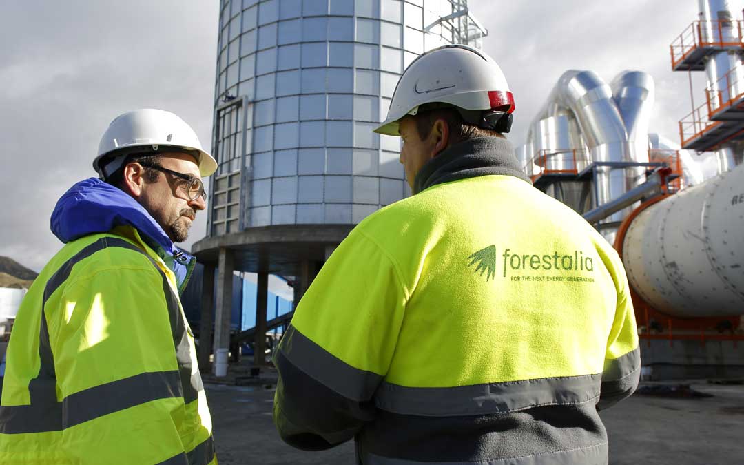 Operarios en la central de Erla, muy parecida a la que se impulsará en Andorra / Forestalia