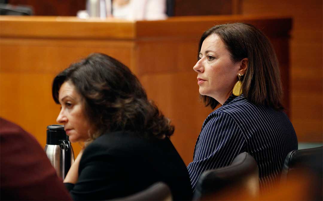La portavoz del PSOE en la comisión de Agricultura, Ganadería y Medio Ambiente de las Cortes de Aragón, la turolense Silvia Gimeno