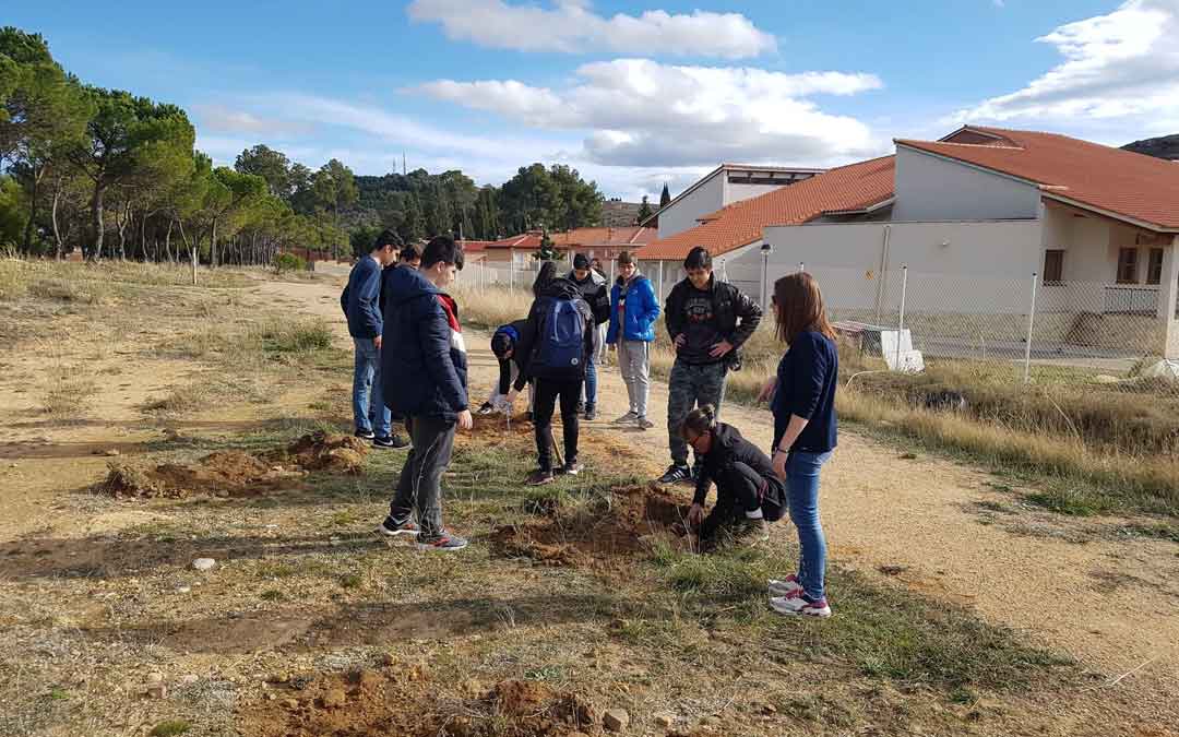 Los estudiantes de 4º de ESO plantando árboles por Ismael este jueves