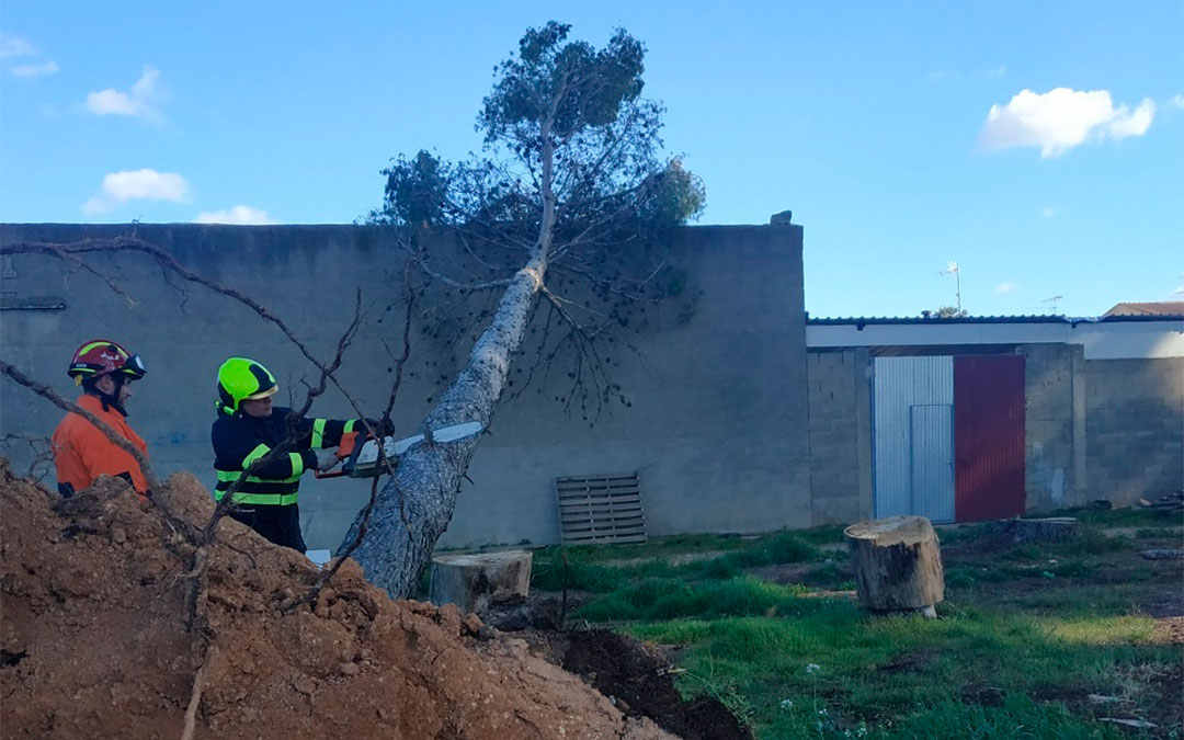 Los bomberos de Alcañiz se han desplazado a Puigmoreno para retirar los árboles./ Bomberos de la DPT