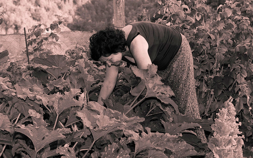 Cartel de la exposición fotográfica 'Ellas son campo'./ DGA