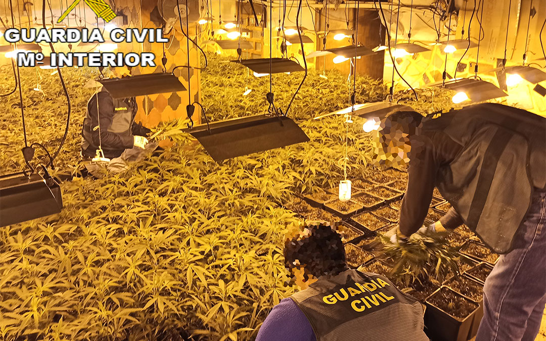 Plantaciones de marihuana indoor intervenidas por la Guardia Civil en la provincia de Teruel./ Guardia Civil