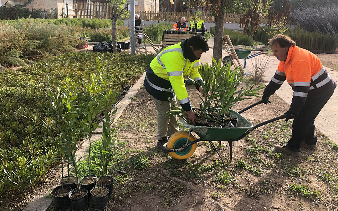 Trabajadores municipales plantando en zonas verdes./ DPZ