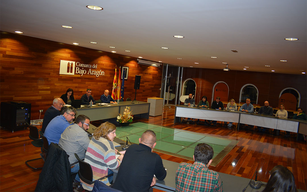 Último pleno presencial de marzo en la Comarca del Bajo Aragón