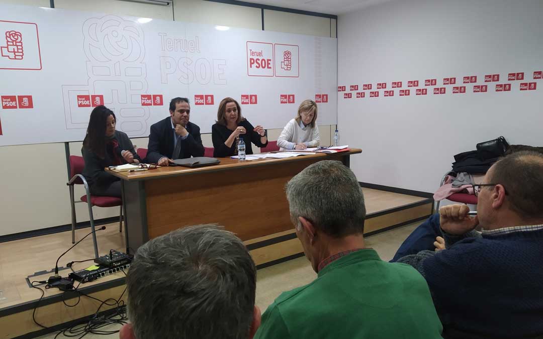 La Comisión Ejecutiva Provincial del PSOE de la provincia de Teruel