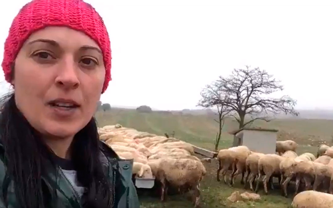 Silvia, ganadera de ovino de Teruel, protagonista del video realizado por UPA en Aragón./ UPA-Aragón
