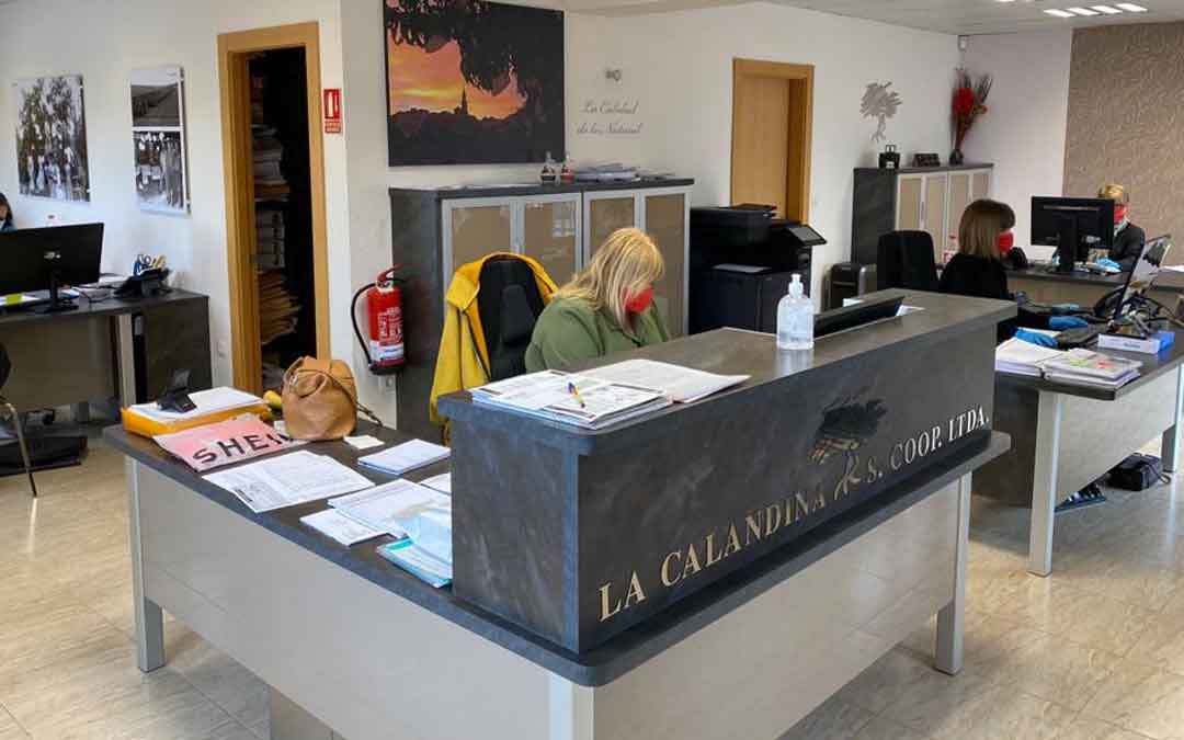 Oficinas de La Calandina estos días