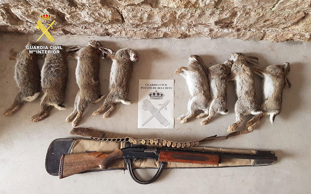 Piezas de caza (conejos) y armas intervenidas por la Guardia Civil en Almochuel./ Guardia Civil