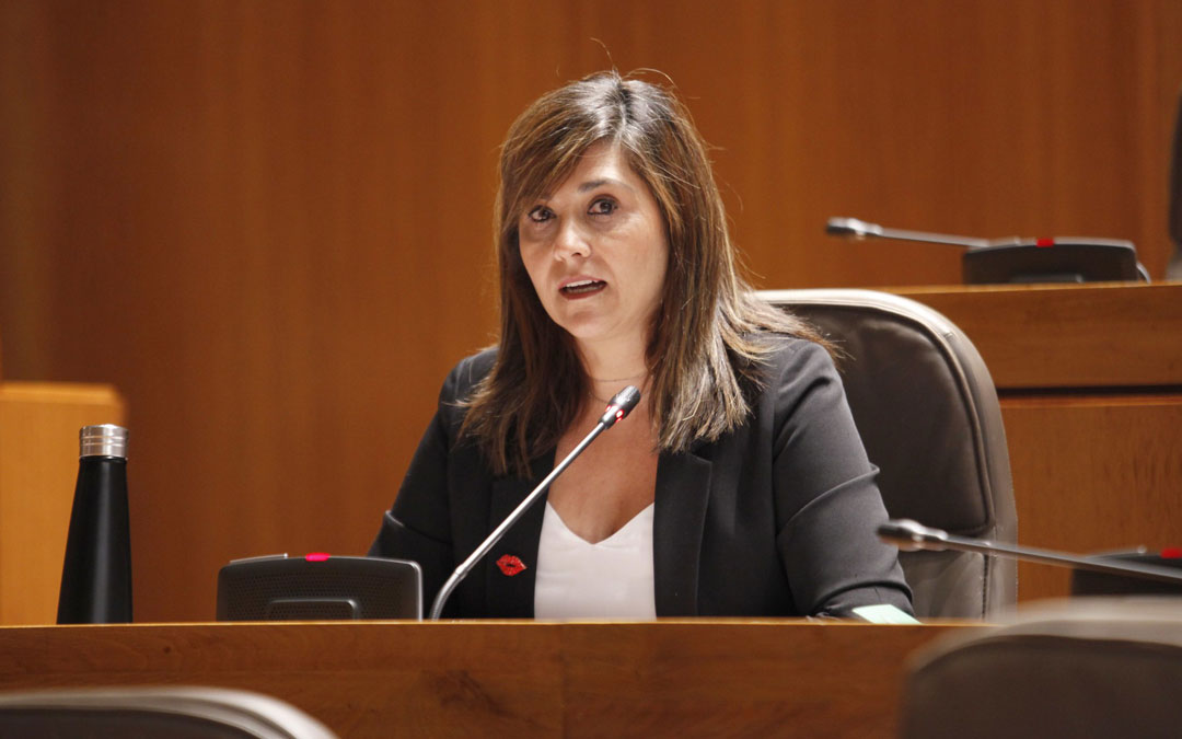 La portavoz de Cs en materia de Sanidad en las Cortes de Aragón, Susana Gaspar, durante la sesión plenaria celebrada este miércoles./LA COMARCA