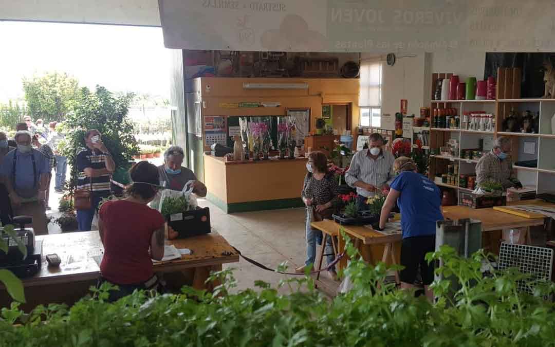 Gran afluencia este jueves en Viveros Joven, en Alcañiz.