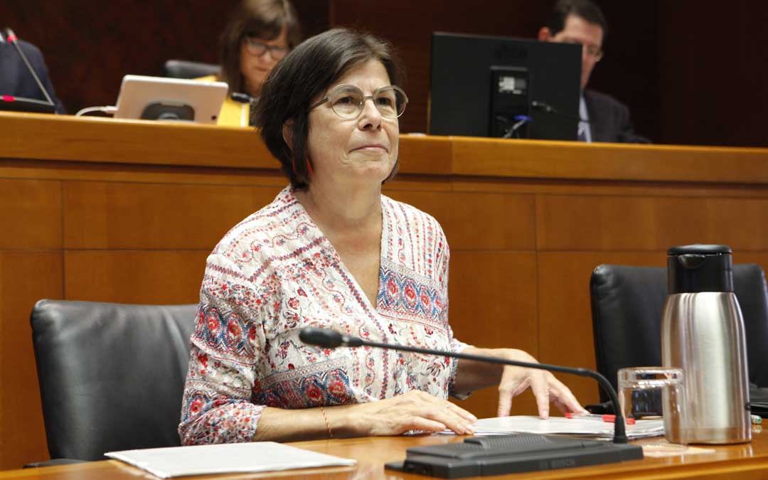 La directora de Personal del departamento de Educación, Carmen Martínez Urtasun, en una comparecencia en las Cortes de Aragón. / Cortes