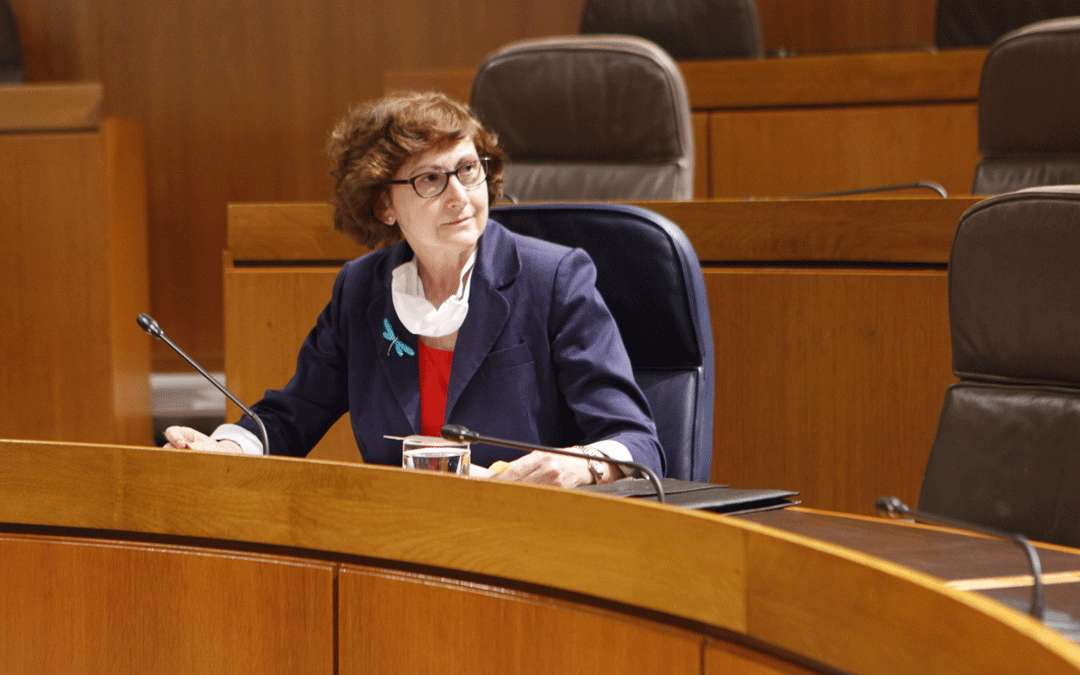 La directora gerente del Instituto Aragonés de Fomento, Pilar Molinero durante su comparecenciaen las Cortes./LA COMARCA