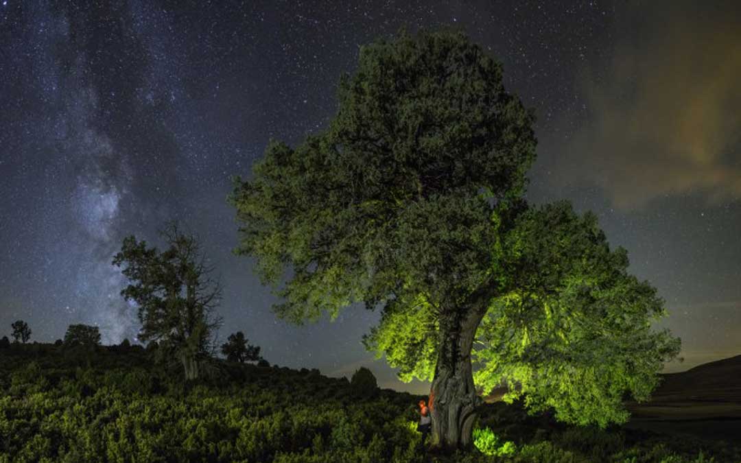Una de las fotografías que se presentaron al concurso del pasado año
