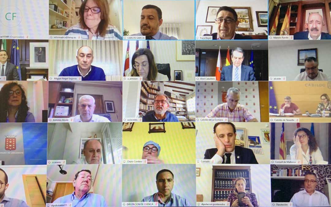reunido telemáticamente en la Comisión de Diputaciones Provinciales, Cabildos y Consejos Insulares de la Federación Española de Municipios y Provincias (FEMP)