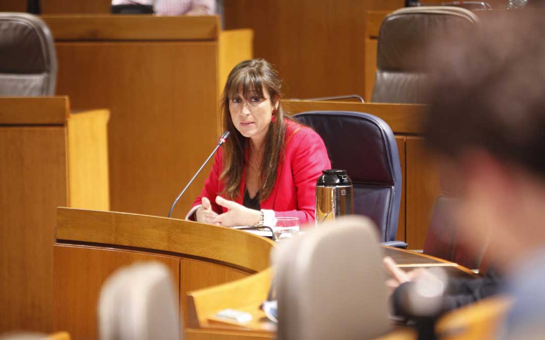 La nueva consejera, Sira Repollés, se ha estrenado este jueves en las Cortes de Aragón