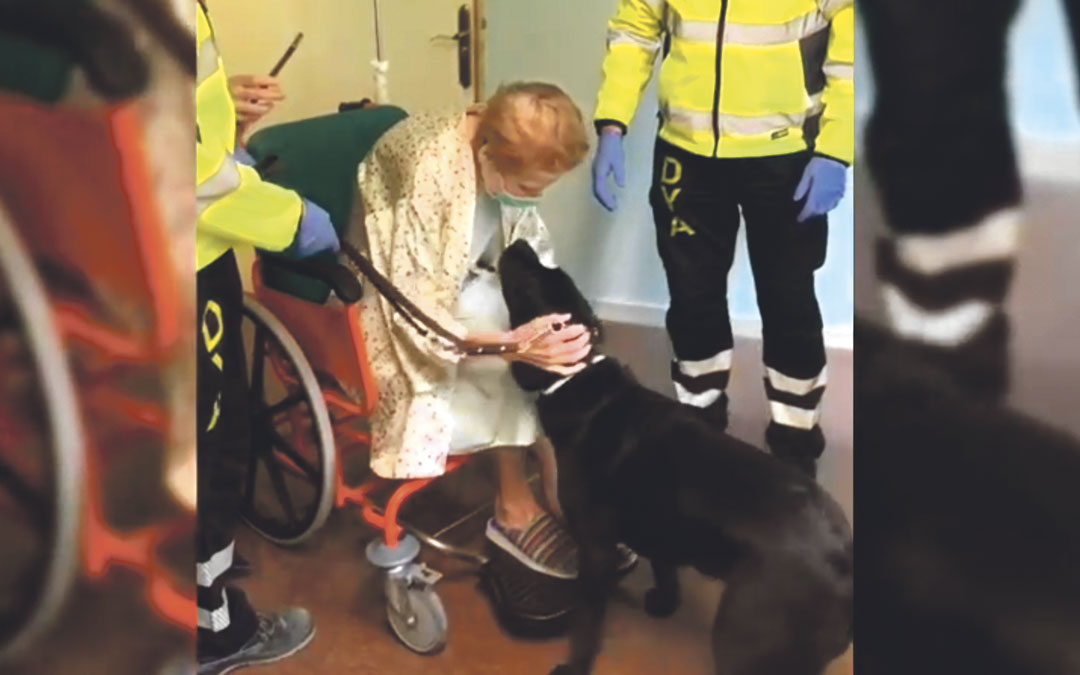 La alcañizana Soledad Arcusa Martínez se reúne con su perro guía Evy en el Hospital Miguel Servet de Zaragoza./ L.C.