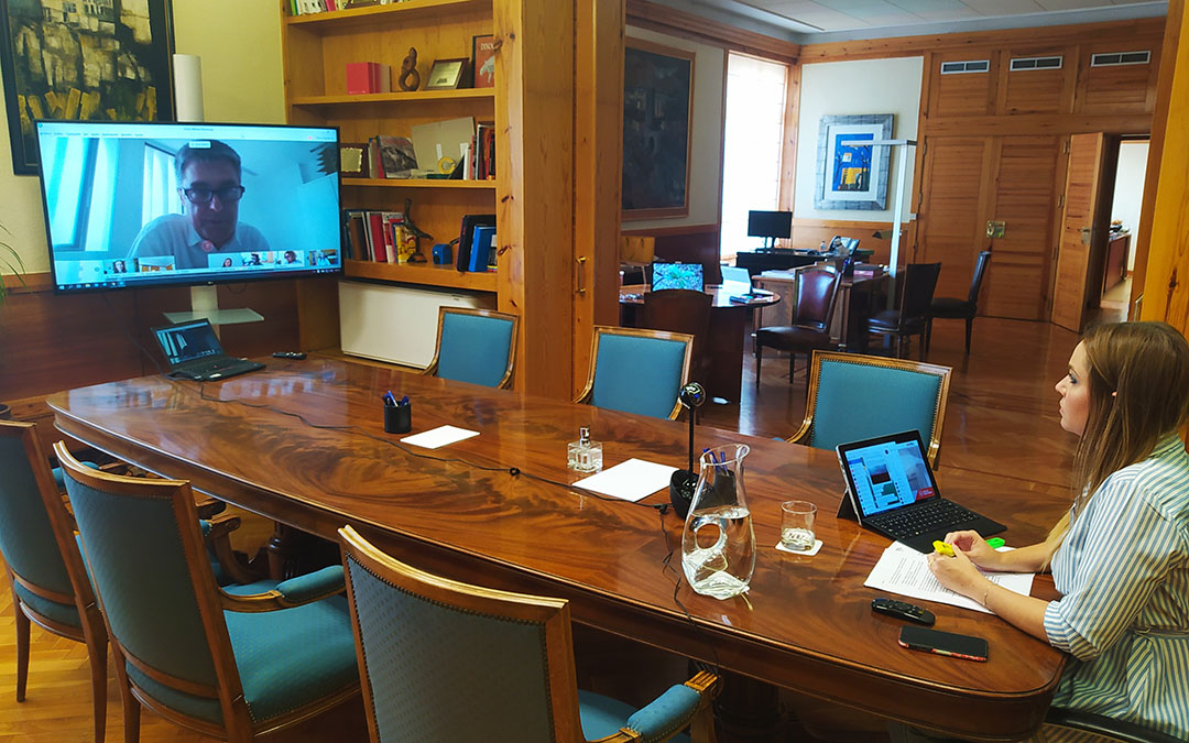 Reunión telemática de Maru Díaz con los expertos