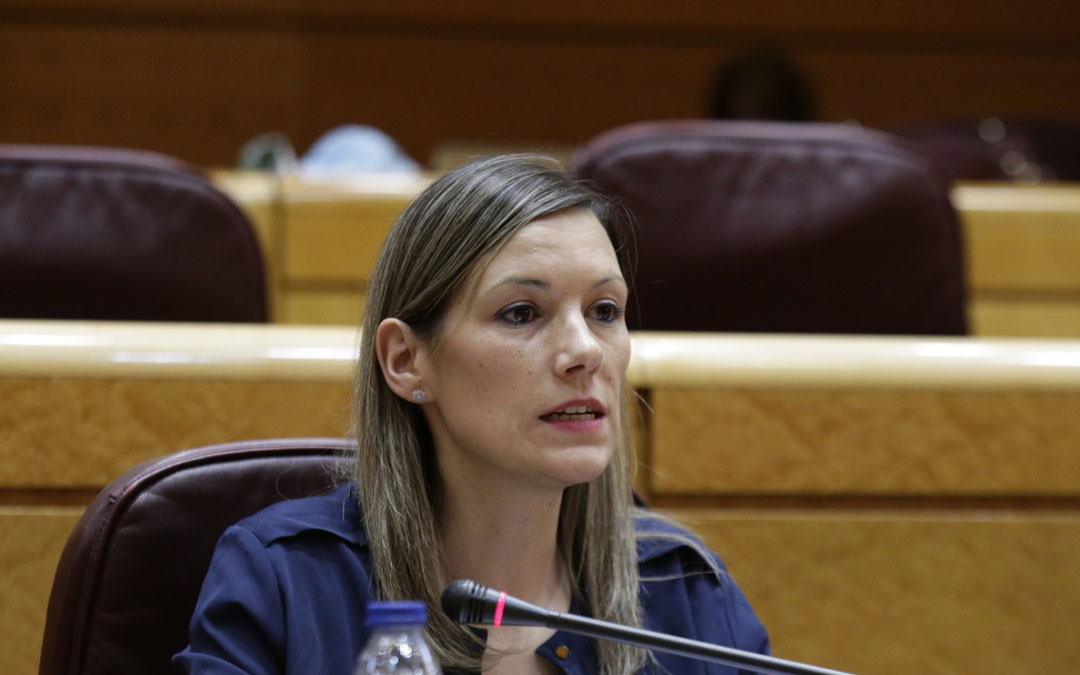 Beatriz Martín es senadora por Teruel Existe./ L.C.