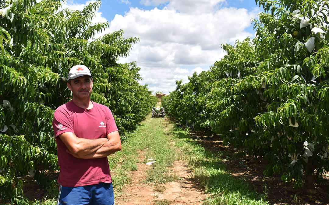 El presidente de la Cooperativa Frutícola Compromiso de Caspe, Luis Ros, en una de las fincas del colectivo.
