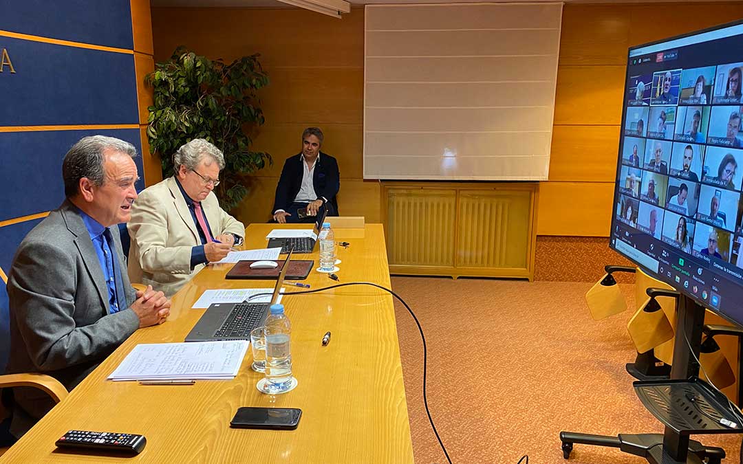 El pleno de la Diputación Provincia de Zaragoza ha tenido lugar, vía telemática, este viernes./ DPZ
