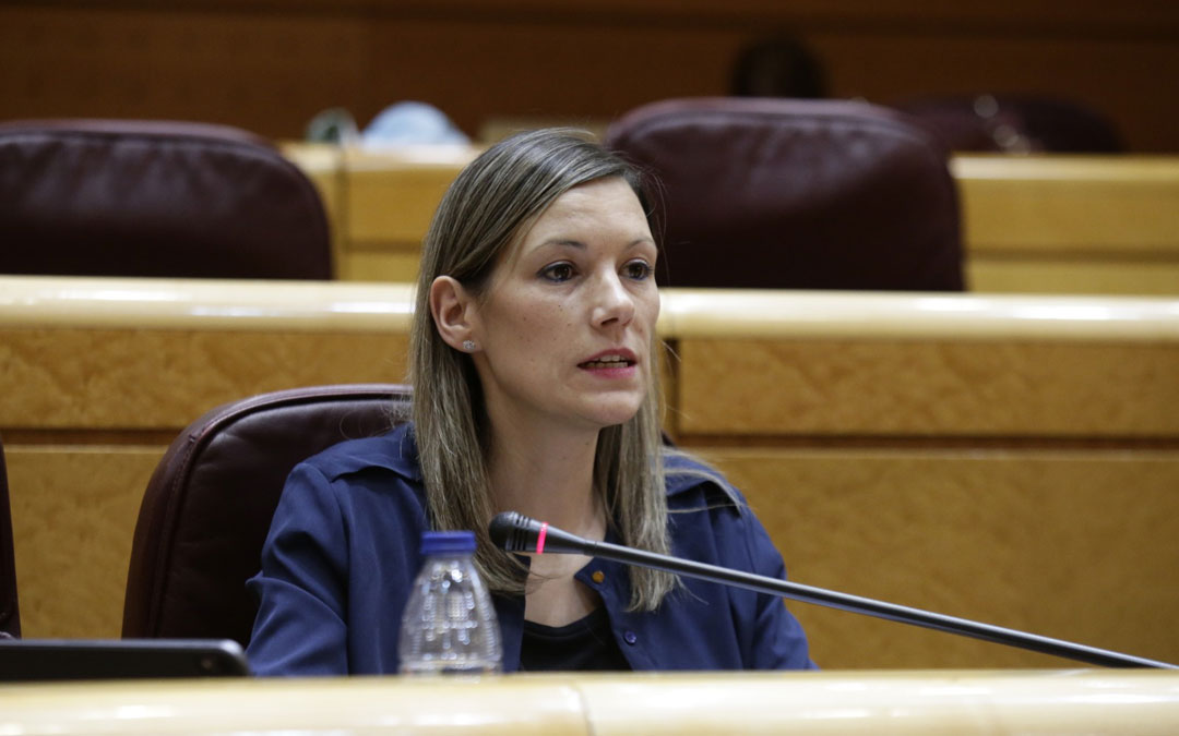 La senadora de Teruel Existe, Beatriz Martín. / Teruel Existe