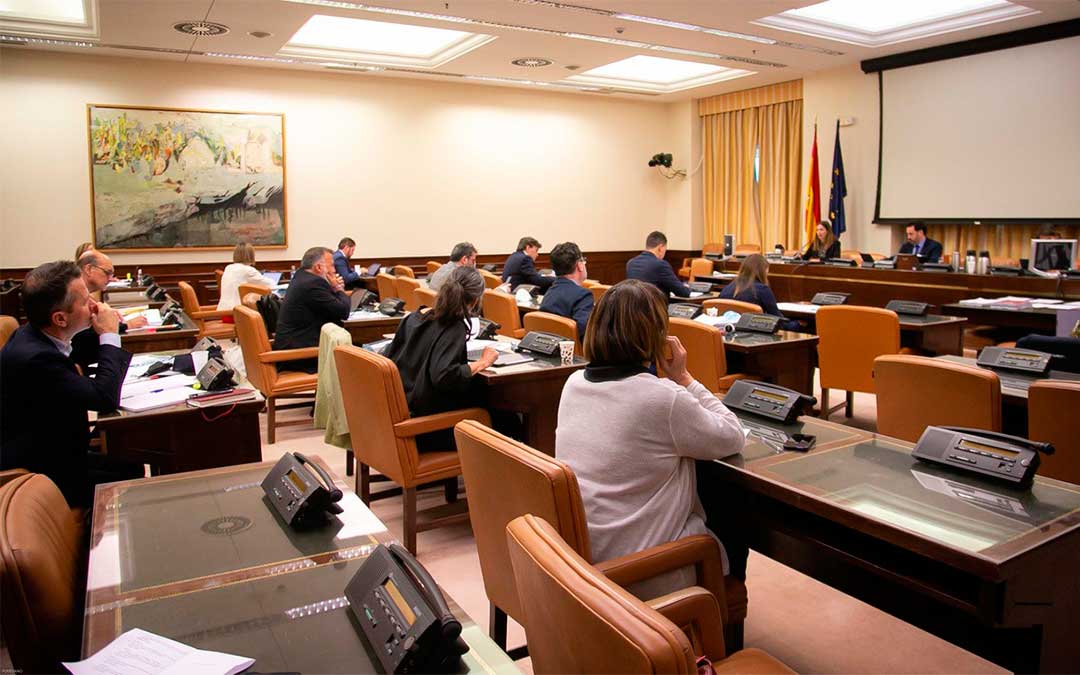 La Red de Áreas Escasamente Pobladas del Sur de Europa valora el dictamen de las Mesas de Reconstrucción./ L.C.