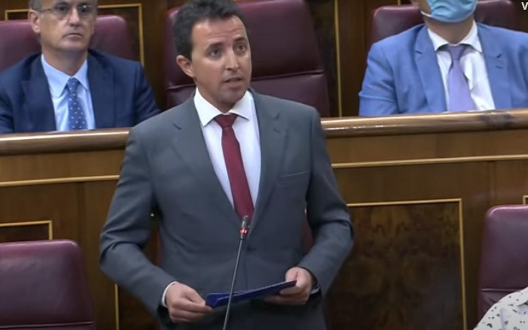 El diputado del PP, Alberto Herrero, durante su intervención en el Congreso./LA COMARCA