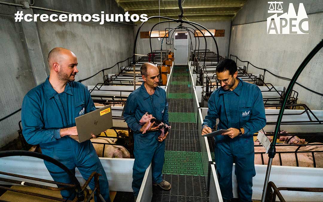 Uno de los carteles de la campaña de APEC, 'Crecemos juntos'. Imagen: Cesáreo Larrosa