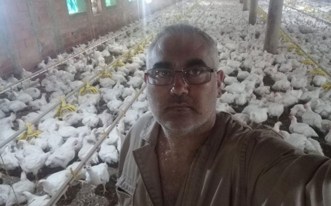 Eloy Ureña, en su explotación avícola de Fayón.