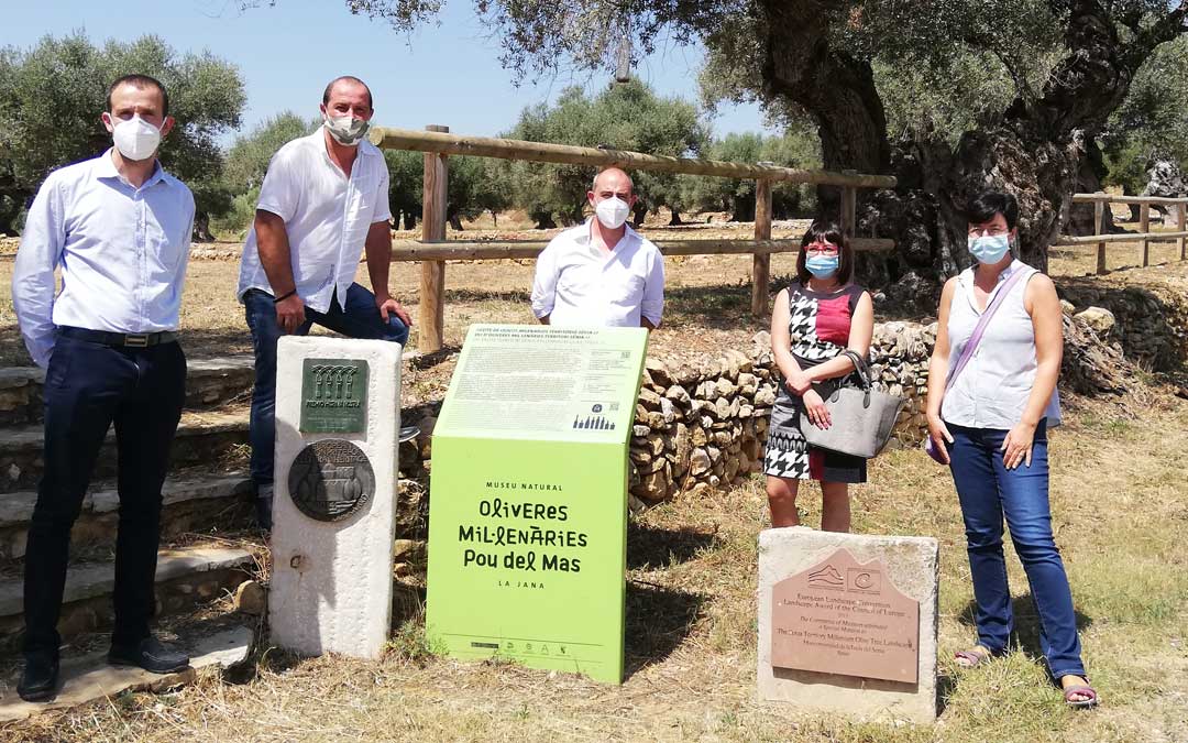 Los reprentantes de las tres Diputaciones recorrieron las oliveras milenarias