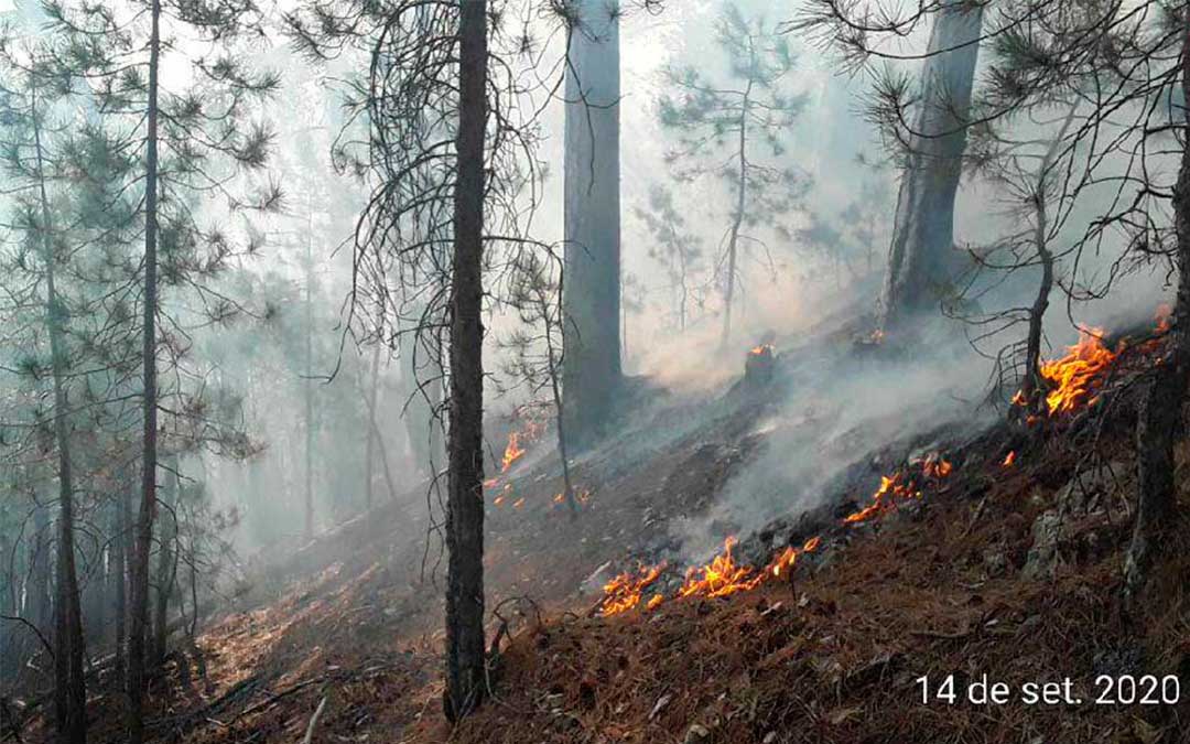 El fuego afectó a una zona de muy difícil acceso./ Bombers Gencat.