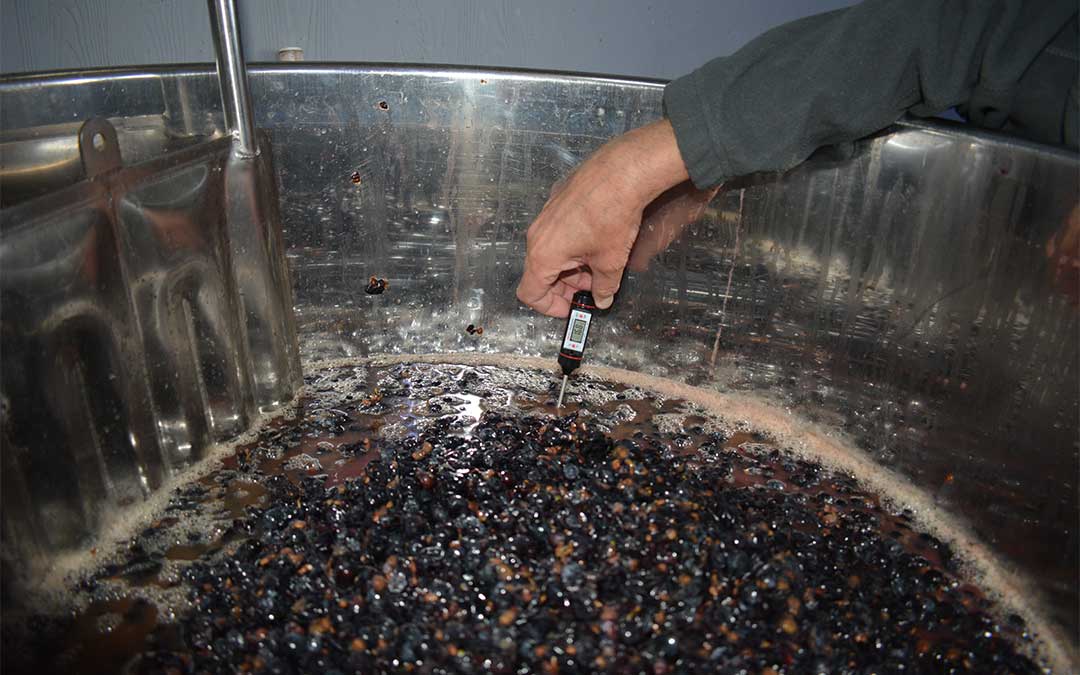 Comprobación de la temperatura del vino./ M. Celiméndiz