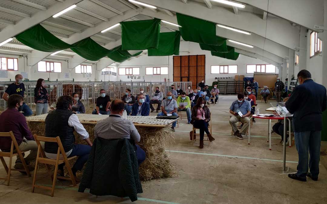 Participantes en la subasta de ganado vacuno celebrada en Cantavieja