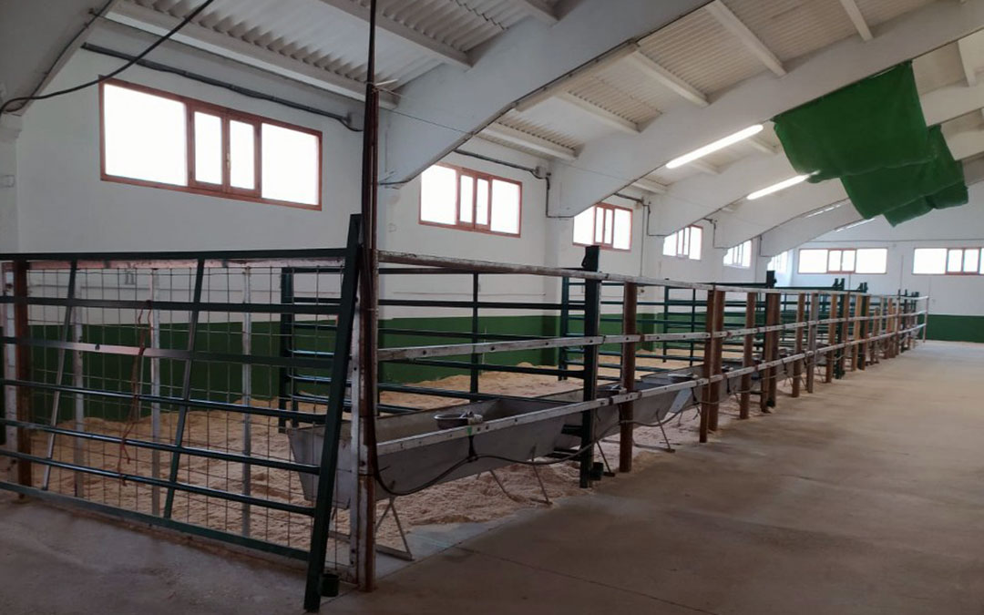 Cantavieja tiene todo preparado para la celebración de la subasta con todas las medidas de seguridad./ Ayto. Cantavieja