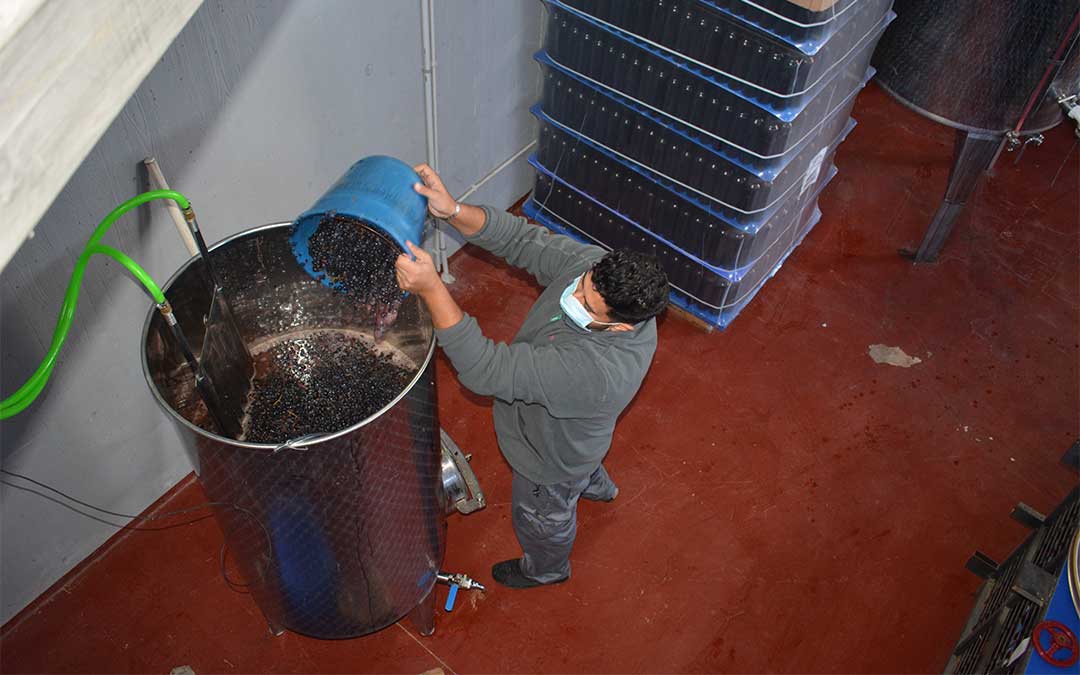 Las uvas pisadas se depositan en un depósito de acero inoxidable para su fermentación./ M. Celiméndiz