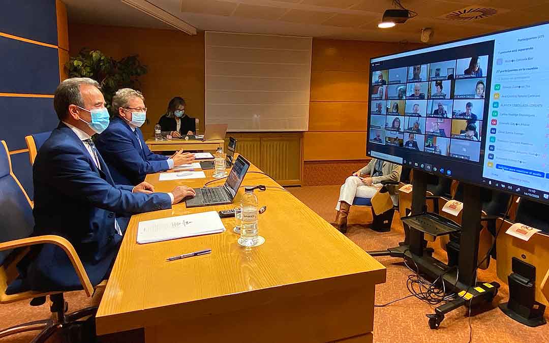 Pleno telemático de DPZ.