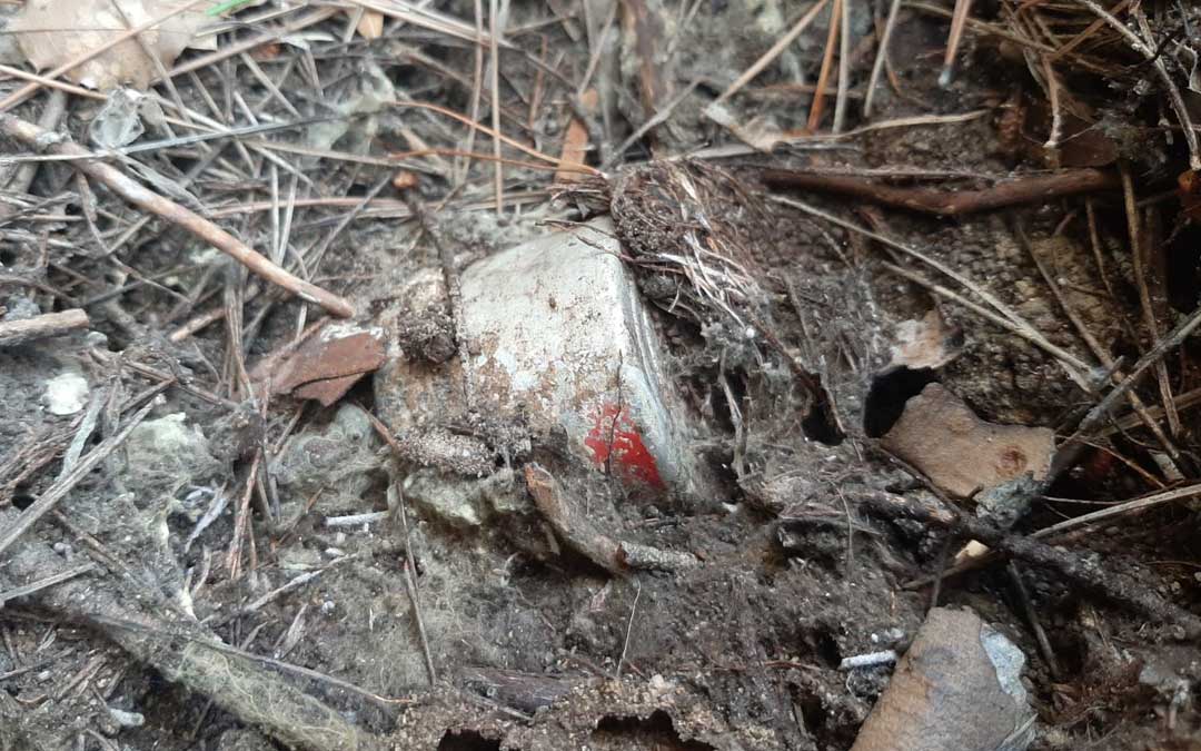 Los artefactos se asemejan a unas latas por lo que en un principio no estuvo claro si eran artefactos explosivos.