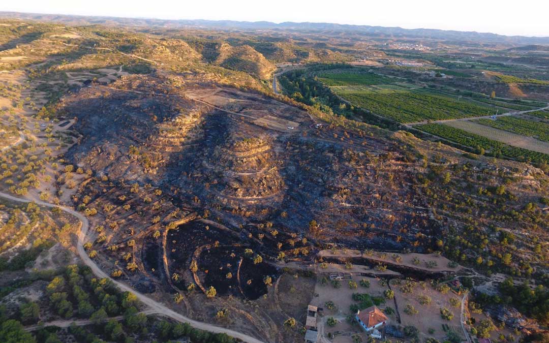 Zona quemada susceptible de ser replantada / Departamento Medio Ambiente