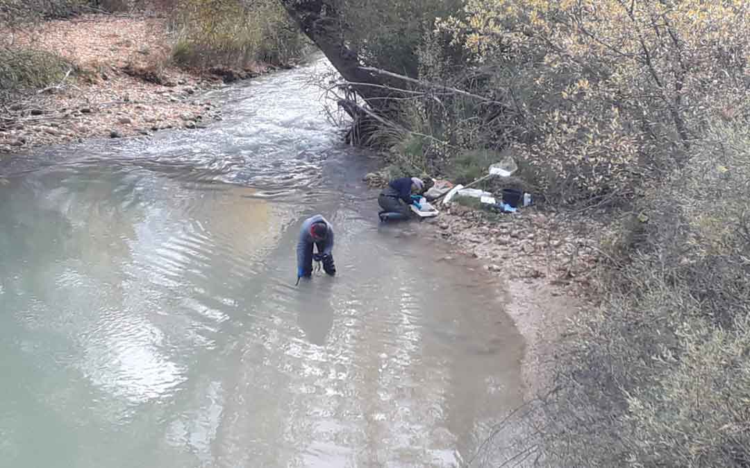 Técnicos de la CHE tomando muestras de agua en el río Guadalope a su paso entre Castellote y Mas de las Matas