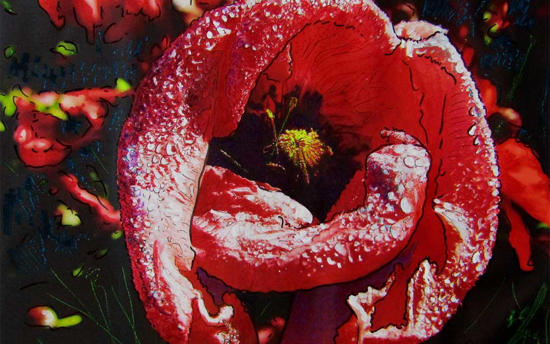 Pieza de la colección 'Un canto a las amapolas' de Benilde Edo.